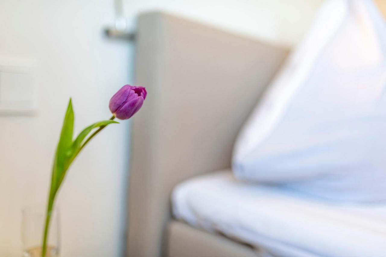 Treibgut Apartment ออลเพนิทซ์ ภายนอก รูปภาพ